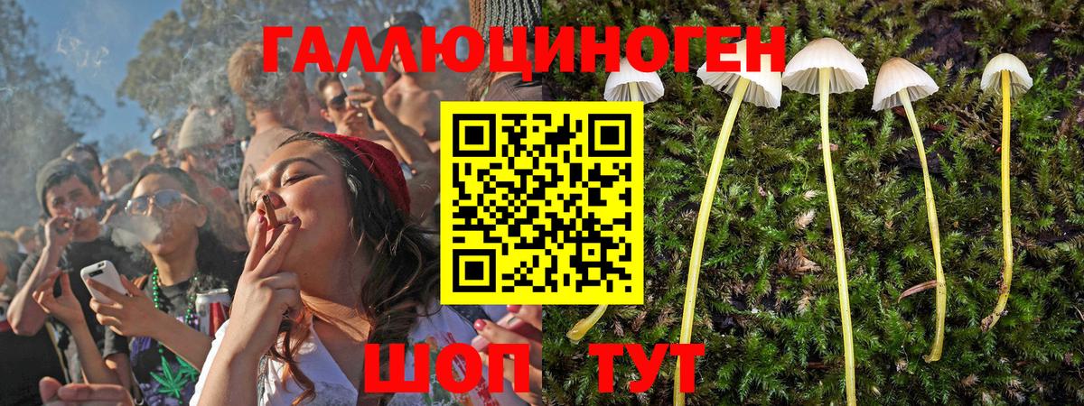Псилоцибиновые грибы мухоморы Югорск